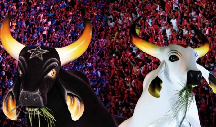 CAPRICHOSO E GARANTIDO (1)