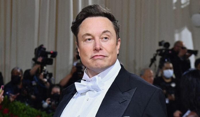 ELON MUSK (1)
