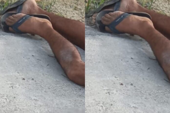 InCollage_20240417_190919989