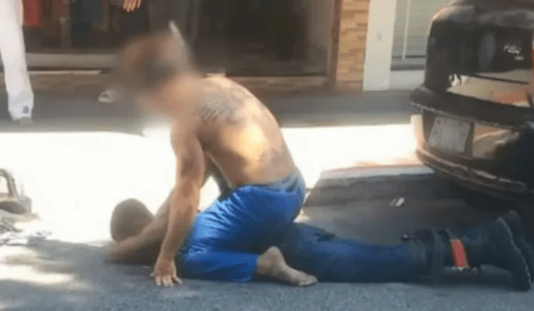 ladrao-lutador-d24am-768x447