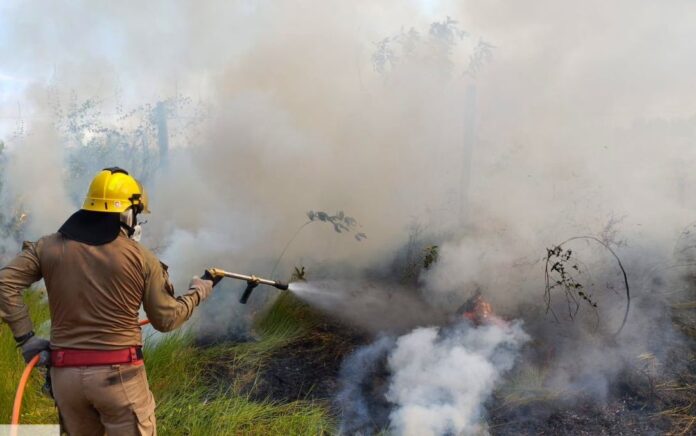 CBMAM_INCENDIO-EM-AREA-DE-VEGETACAO-EM-MANICORE_FOTO-DIVULGACAO