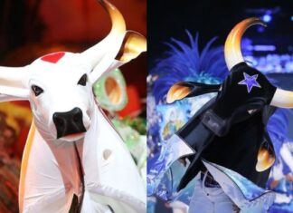 Campeão do Festival de Parintins será conhecido hoje