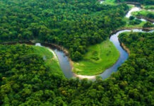 Prodes mostra terceira menor destruição anual da Amazônia desde 1988, com queda de 50% em relação a 2022