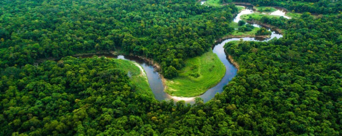 bioma-amazonia-caracteristicas-1255x500