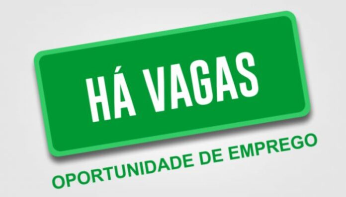 emprego (4)