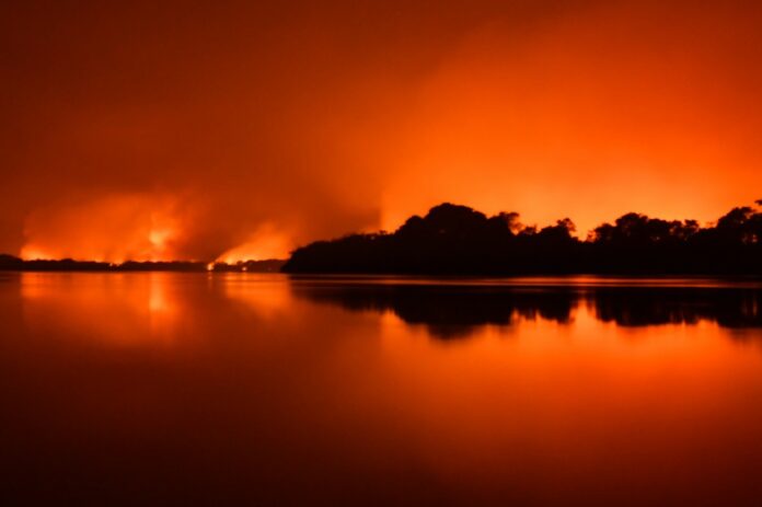 incendios_amolar_pantanal_foto_andrezumak-6