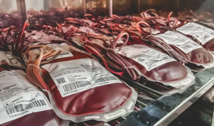 BOLSA DE SANGUE
