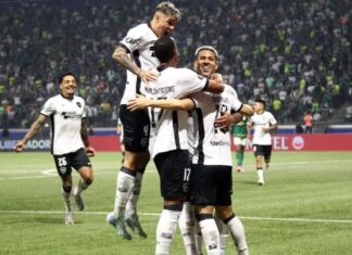 Botafogo segura empate com Palmeiras e avança na Copa Libertadores