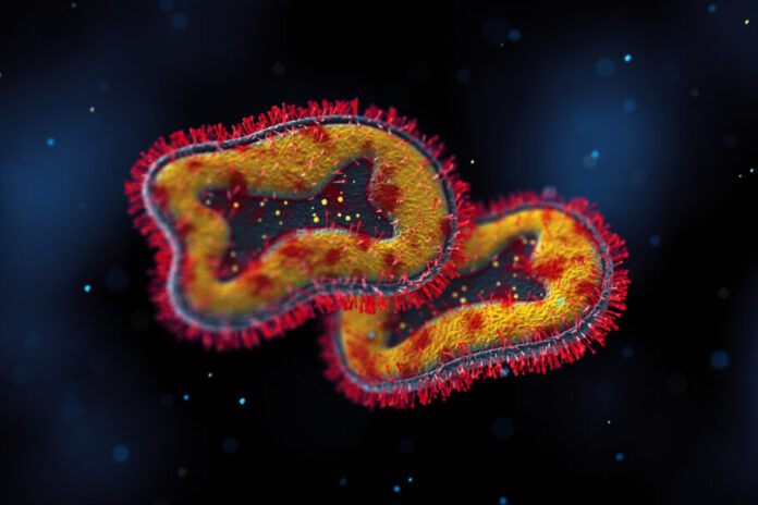 Monkeypox Cells