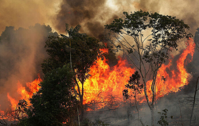 incendios-amazonia