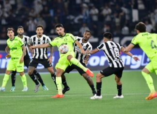 Chances de título do Botafogo no Brasileiro despencam após Palmeiras assumir a liderança