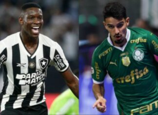 Palmeiras e Botafogo jogam hoje pela liderança do Campeonato Brasileiro