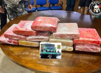 Base Fluvial Candiru apreende carga de maconha em ferryboat durante fiscalização no Pará