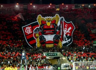 Flamengo surpreende e fica em 7º lugar no ranking de sócios-torcedores, apesar da maior torcida