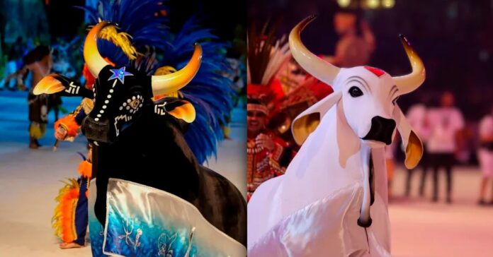 festival-parintins-parintinis-manaus-amazonas-boi-caprichoso-garantido-gshow-2023-entenda