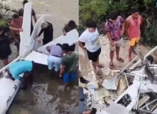 Avião de pequeno porte cai em praia e piloto escapa ileso; entenda