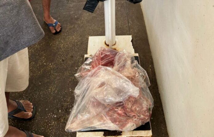 Carne-de-capivara_Foto-2-15-07-2025-1536x982