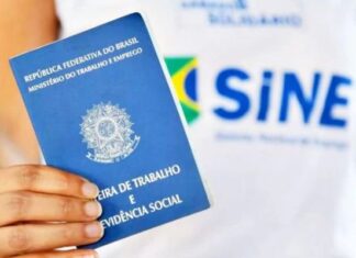 Sine Manaus oferta 358 vagas de emprego nesta terça-feira, 19