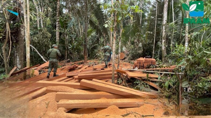 Ipaam_5a-etapa-da-Operacao-Tamoiotata-5_Foto-6-Divulgacao-Ipaam-02-10-2025