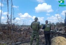 Ipaam aplica mais de R$ 90 mil em multas por crimes ambientais na Região Metropolitana de Manaus