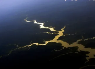 Estudo aponta perda acelerada de capacidade da Amazônia de absorver carbono desde 2000