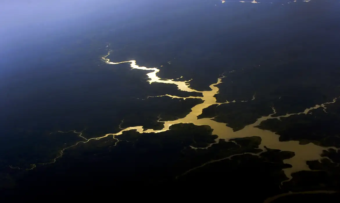 Estudo aponta perda acelerada de capacidade da Amazônia de absorver carbono desde 2000