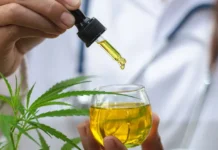 Anvisa suspende produtos de cannabis vendidos ilegalmente pela empresa CBD Brasil