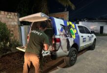 Mais de 20 animais são resgatados de canil clandestino desarticulado pela Sepet-AM