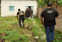 Operação Cavalo de Tróia: PC-AM prende sete integrantes de grupo criminoso suspeito de aplicar golpes em idosos