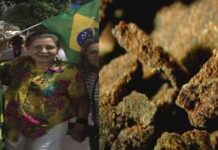 Após prisão na Ponta Negra, falsa socialite tenta se desvincular dos R$ 19 milhões em cocaína preta escondidos em seu imóvel