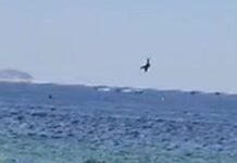 Avião de publicidade cai no mar e piloto morre em Copacabana