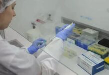 OMS emite alerta urgente para nova cepa de gripe de ‘potencial pandêmico’