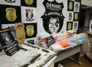 Carga com skunk camuflado em refrigeradores é interceptada em Manaus