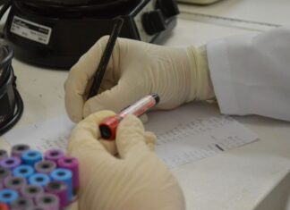 Polícia Científica identifica quatro corpos localizados entre os anos de 2022 e 2024