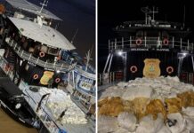 Base Paulo Pinto Nery: PC-AM apreende 12 toneladas de pirarucu seco em embarcação próximo à Itacoatiara