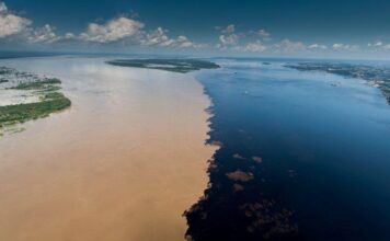 Manaus figura no Top 5 do turismo nacional e supera destinos tradicionais de praia