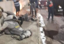 Motorista foge após atingir cavalo da PMAM e policial em Manaus