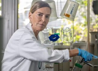 Proteína brasileira faz cachorro voltar a andar após lesão na medula