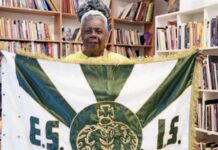 Série Ouro celebra Leci Brandão, Xande de Pilares e Conceição Evaristo em desfiles na Sapucaí