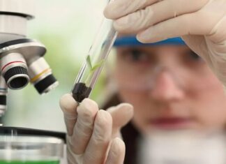 Observatório Nacional abre edital para programa Meninas Cientistas no Rio de Janeiro