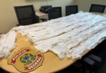 Tentativa de envio de droga para a Austrália termina com dupla presa durante fiscalização nos Correios em Manaus