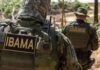 Fiscais do Ibama sofrem emboscada durante operação contra madeira ilegal no Amazonas