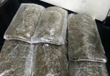 Passageiro é preso com 3 kg de skunk no Aeroporto de Manaus