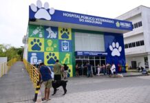 Hospital Público Veterinário do Amazonas ultrapassa a marca de 26 mil animais atendidos em 5 meses de funcionamento