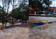 Chuva forte faz igarapé da avenida Brasil transbordar e alagar ruas como “rio” em Manaus