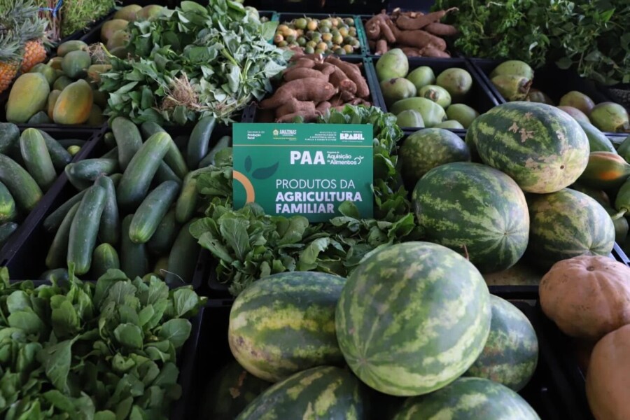 Edital do PAA abre prazo para agricultores familiares indígenas e comunidades tradicionais no Amazonas