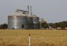 Brasil se destaca no G20 com sexto maior crescimento econômico em 2025