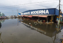 Alerta aponta risco de inundação em Manaus e Manacapuru no pico da cheia de 2026