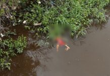 Moradores encontram corpo em igarapé no São Jorge; caso será investigado pela DEHS
