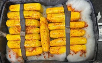 Polícia Federal apreende 37 kg de skunk no Aeroporto de Manaus